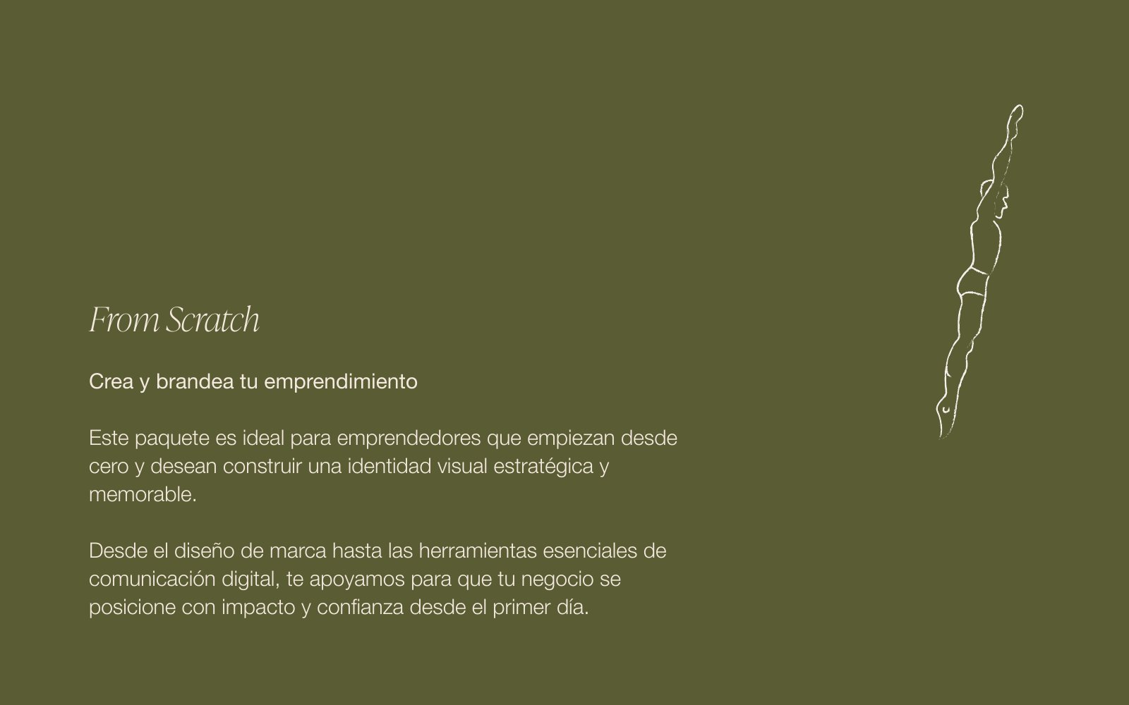 Paquete 2