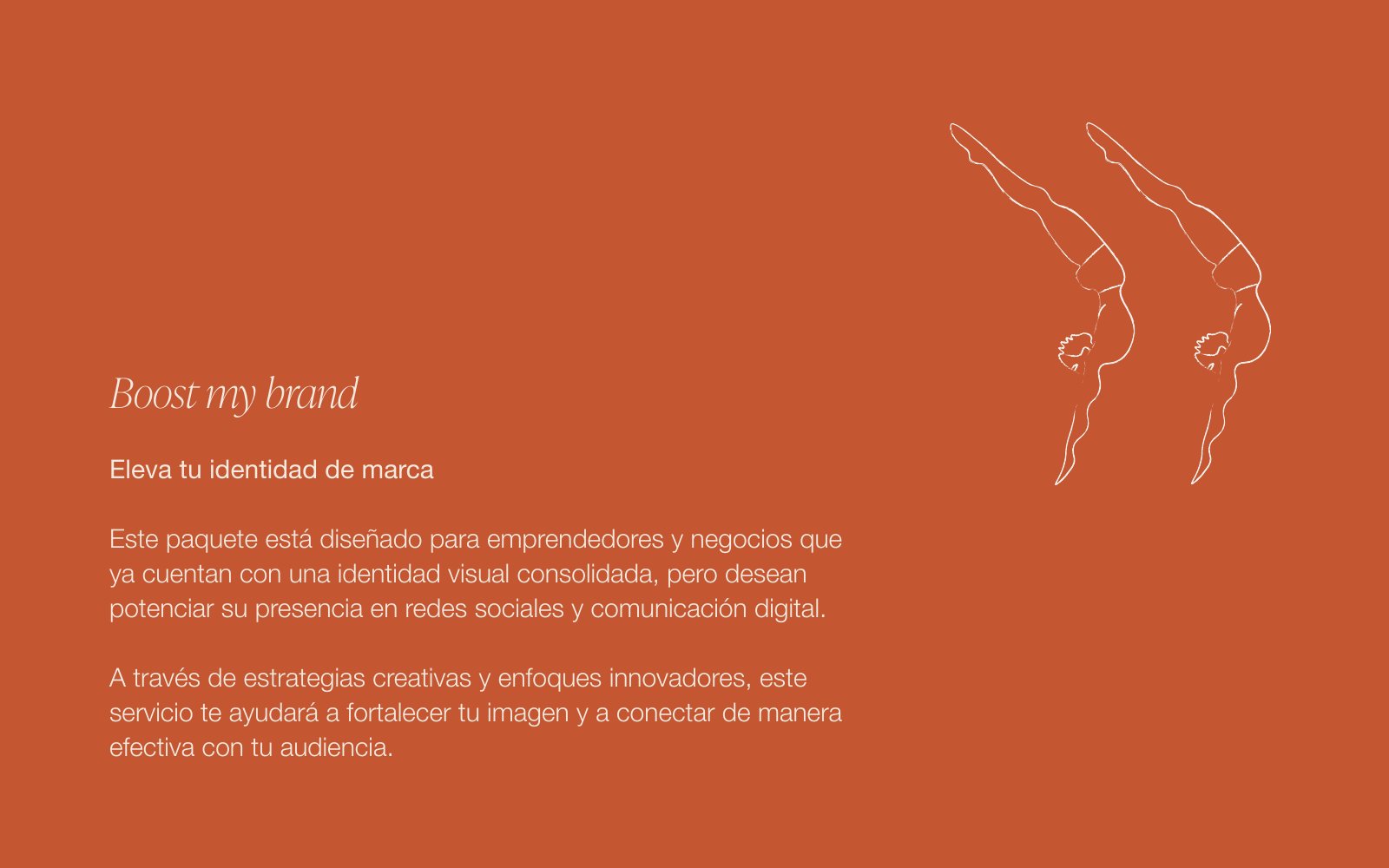 Paquete 3